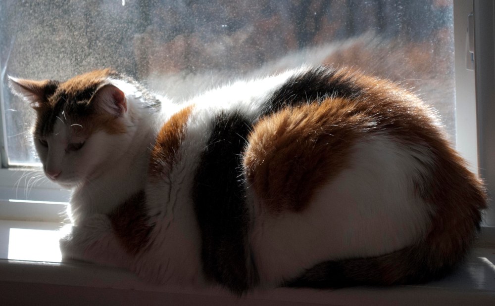 Sally is not impressed