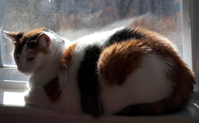 Sally is not impressed